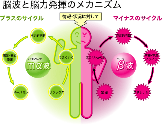 �摜